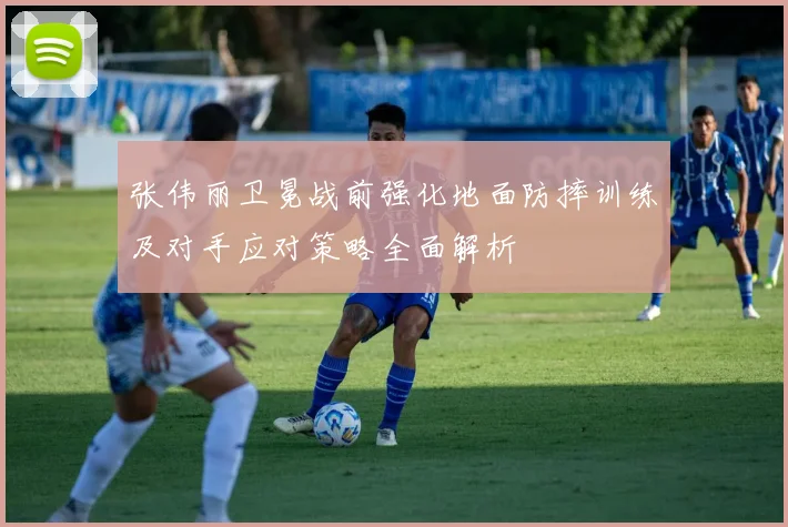 张伟丽卫冕战前强化地面防摔训练及对手应对策略全面解析